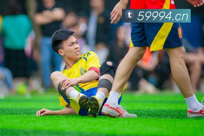 mksports官网登录平台生态图